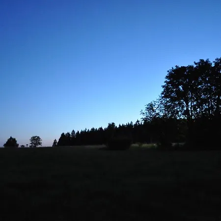 Schwaerzer *