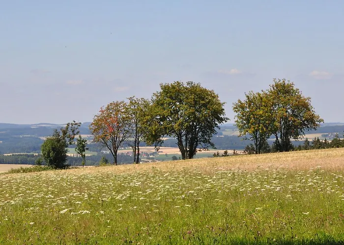 Schwärzer *